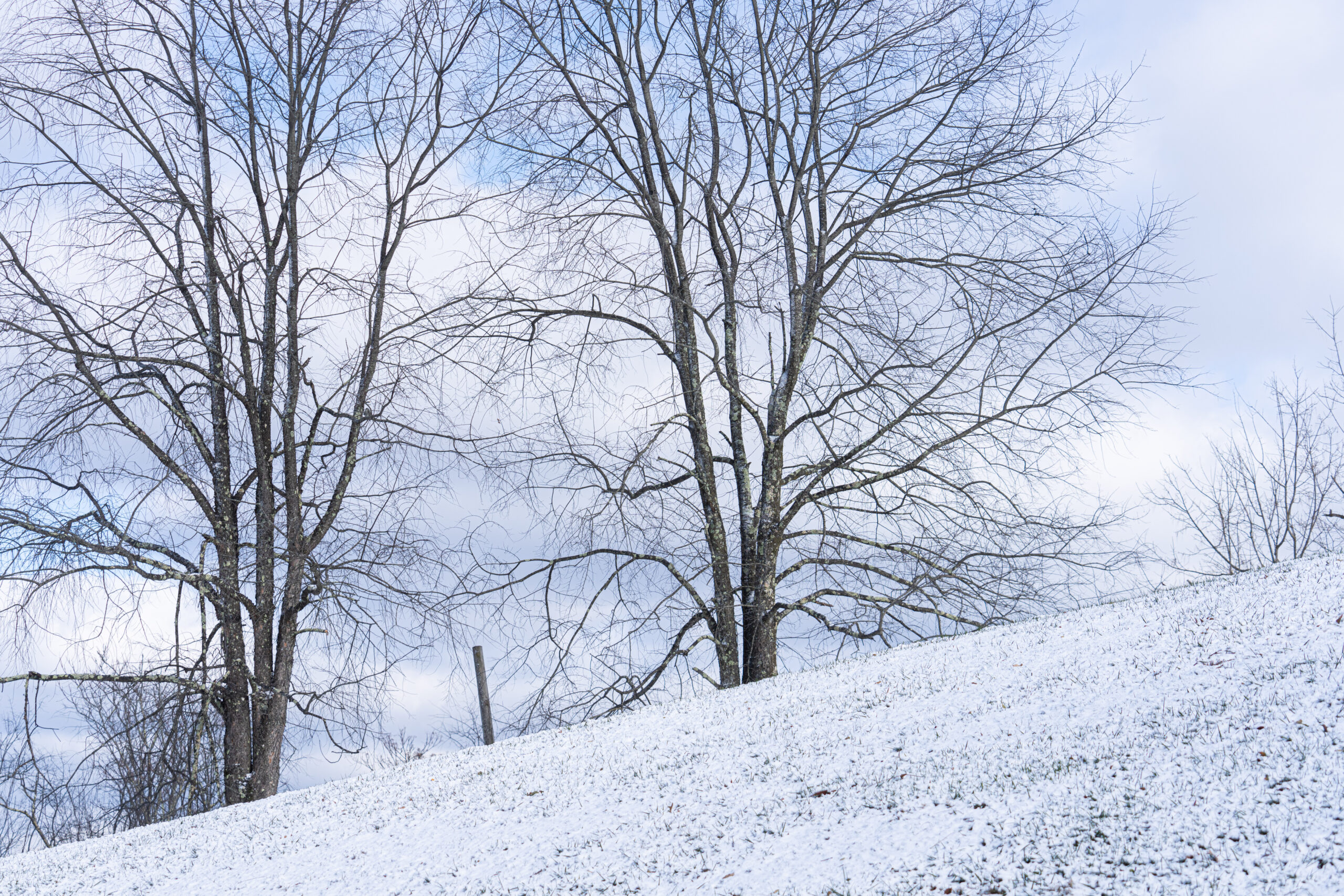 PJM Interconnection prepares for winter electricity demand